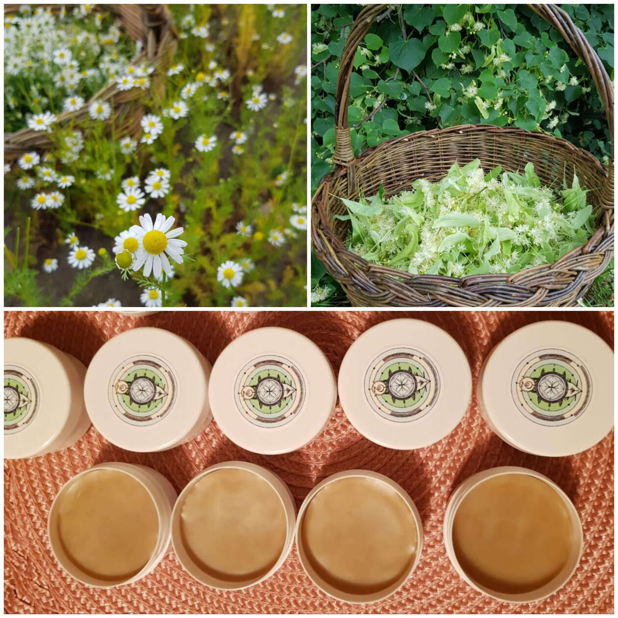 Liepų- ramunėlių kremas sausai odai Liepų- ramunėlių kremas sausai odai