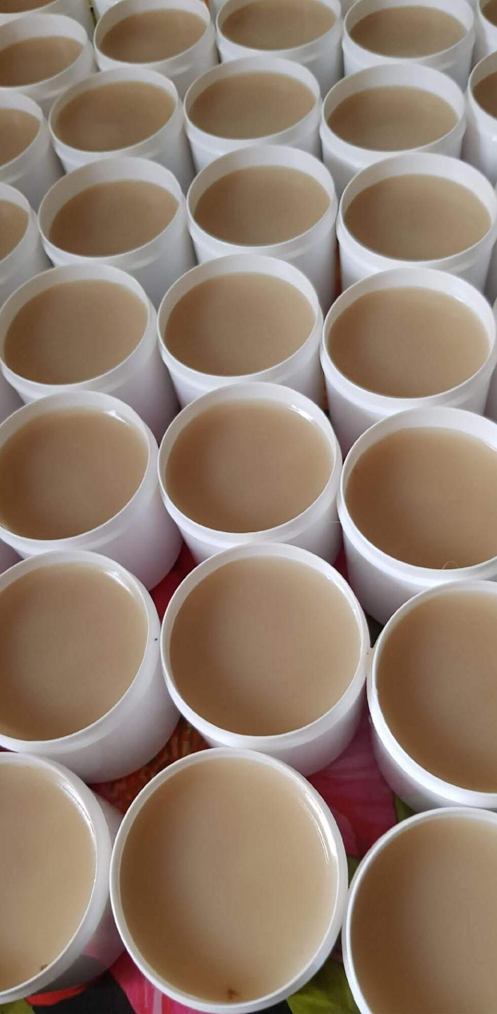 Kaulažolių tepalas 100ml Kaulažolių tepalas 100ml