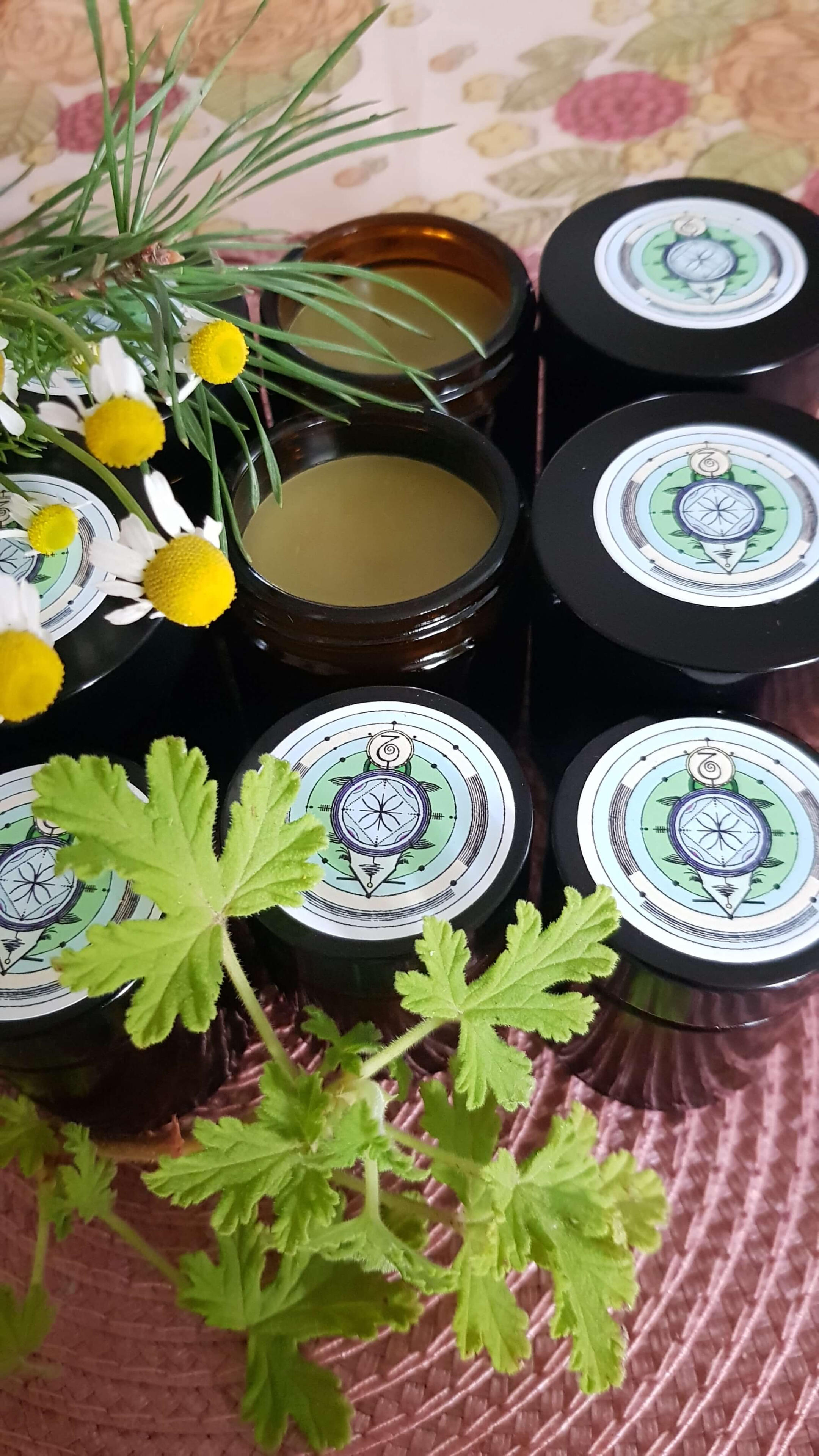 Pušų spyglių antibakterinis tepalas Pušų spyglių antibakterinis tepalas